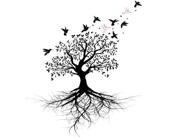 logo de Frédérique Lachaze